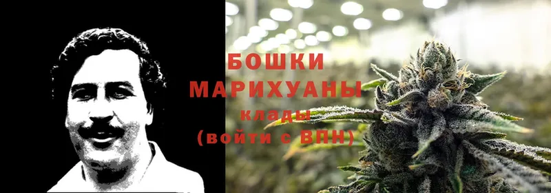 Где найти наркотики Княгинино Cocaine  Alpha-PVP  АМФЕТАМИН  Кодеин  Бошки Шишки  Меф мяу мяу 